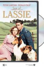 Watch Son of Lassie M4ufree