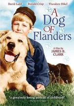 Watch A Dog of Flanders M4ufree
