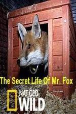 Watch The Secret Life of Mr. Fox M4ufree