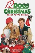 Watch 12 Dogs of Christmas Great Puppy Rescue M4ufree