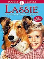 Watch Lassie: A New Beginning M4ufree