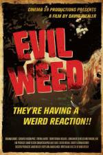 Watch Evil Weed M4ufree