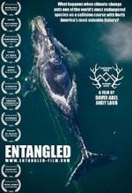 Watch Entangled: The Race to Save Right Whales from Extinction M4ufree