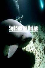 Watch National Geographic Wild Sixgill Shark Into The Abyss M4ufree