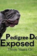 Watch Pedigree Dogs Exposed, Three Years On M4ufree