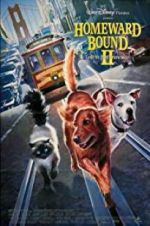 Watch Homeward Bound II: Lost in San Francisco M4ufree