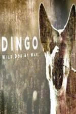 Watch Dingo Wild Dog at War M4ufree