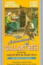 Watch Adventures of Gallant Bess M4ufree