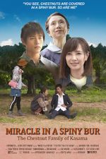 Watch Miracle in Kasama M4ufree