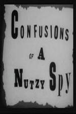 Watch Confusions of a Nutzy Spy M4ufree