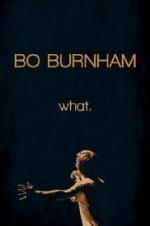 Watch Bo Burnham: what. M4ufree