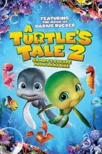 Watch A Turtle\'s Tale 2: Sammy\'s Escape from Paradise M4ufree