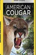 Watch National Geographic - American Cougar M4ufree
