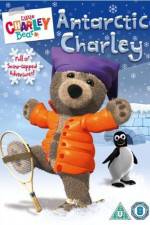 Watch Little Charley Bear - Antarctic Charley M4ufree