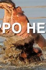 Watch Hippo Hell M4ufree