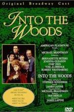 Watch Into the Woods M4ufree