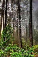 Watch National Geographic Kingdom of the Forest M4ufree