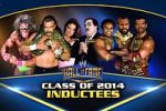 Watch WWE Hall of Fame M4ufree