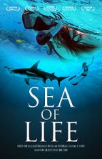 Watch Sea of Life M4ufree