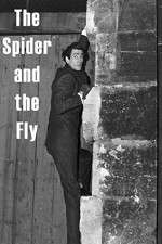 Watch The Spider and the Fly M4ufree