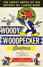 Watch The Woody Woodpecker Polka M4ufree