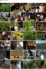 Watch National Geographic: Super weed M4ufree
