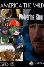 Watch National Geographic Wild America the Wild Wolverine King M4ufree