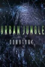 Watch National Geographic Wild Urban Jungle Downtown M4ufree