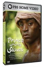 Watch Prince Among Slaves M4ufree