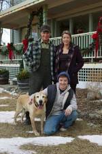 Watch Hallmark Hall of Fame A Dog Named Christmas M4ufree