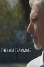 Watch Senna The Last Teammate M4ufree