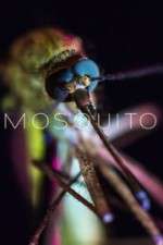 Watch Mosquito M4ufree