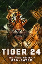 Watch Tiger 24 M4ufree