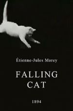 Watch Falling Cat M4ufree