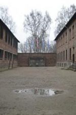 Watch Made in Auschwitz: The Untold Story of Block 10 M4ufree