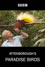 Watch Attenborough's Paradise Birds M4ufree