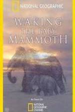 Watch Waking the Baby Mammoth M4ufree