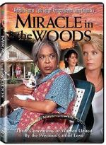 Watch Miracle in the Woods M4ufree