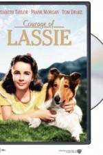 Watch Courage of Lassie M4ufree