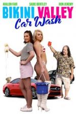 Watch Bikini Valley Car Wash M4ufree