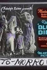 Watch The Blue Bird M4ufree