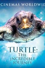 Watch Turtle The Incredible Journey M4ufree