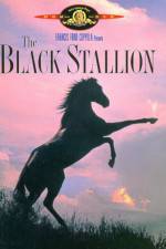 Watch The Black Stallion M4ufree