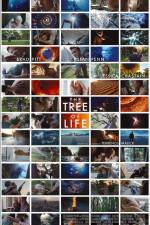 Watch The Tree of Life M4ufree