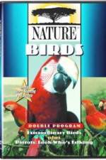Watch PBS Nature - Extraordinary Birds M4ufree