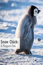 Watch Snow Chick: A Penguin's Tale M4ufree