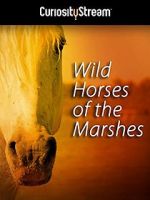 Watch Wild Horses of the Marshes M4ufree