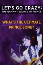 Watch Let\'s Go Crazy: The Grammy Salute to Prince M4ufree