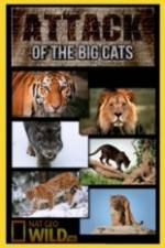 Watch National Geographic Attack Of The Big Cats M4ufree