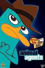 Watch Phineas And Ferb Animal Agents M4ufree